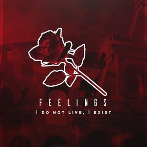 Meet your Posher, Armando